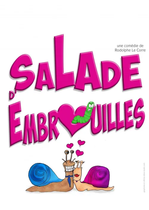 Affiche de Salade d'embrouilles