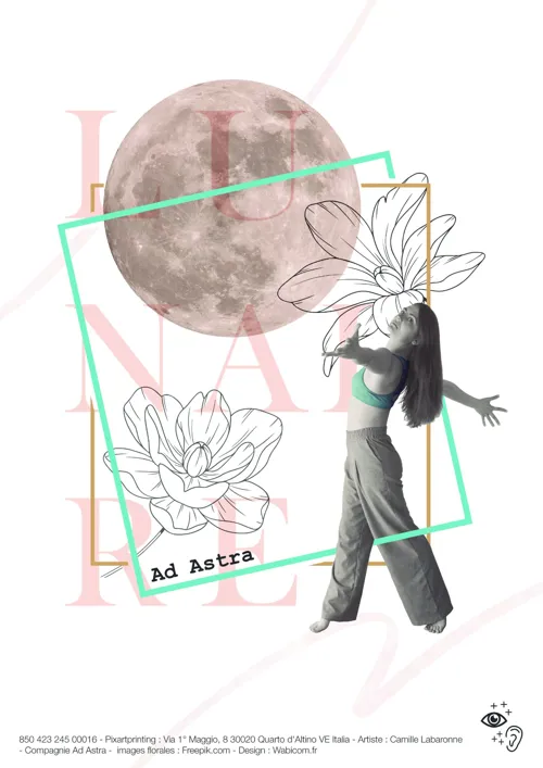 Affiche de Lunaire