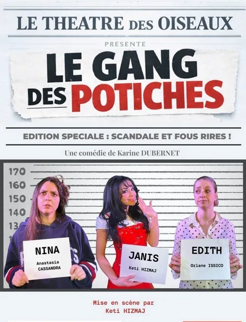 Affiche de Le gang des potiches