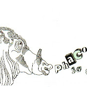 Logo de la source Blog de Phaco