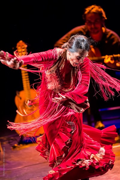Photo 1 de Tablao Flamenco Traditionnel