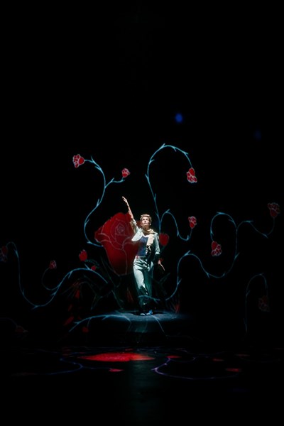 Photo 2 de Le petit prince