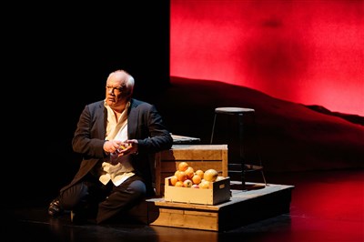 Photo 1 de Monsieur Ibrahim et les fleurs du Coran | avec Éric-Emmanuel Schmitt
