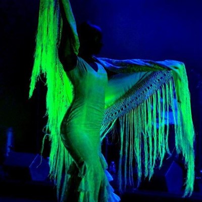 AL ANDALUS FLAMENCO NUEVO