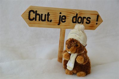 Photo 4 de Le Noël des Montgolfières