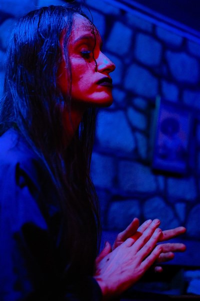 Photo 1 de Cabaret la Bête : Shakons Shakespeare