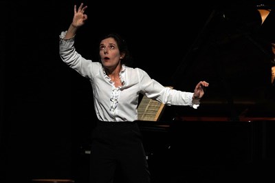 Photo 3 de Mozart, le dernier voyage à Paris