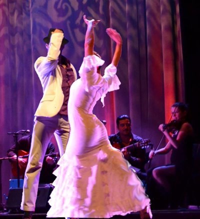 AL ANDALUS FLAMENCO NUEVO