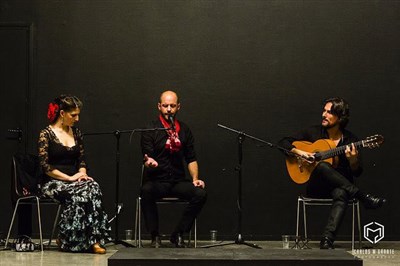 Photo 2 de Soirée flamenco