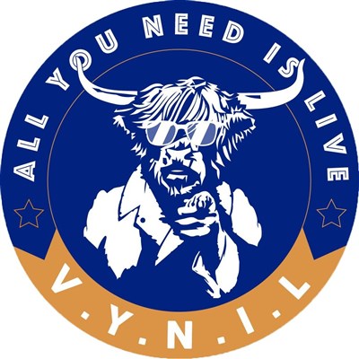 Logo VYNIL