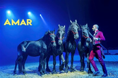 Photo 3 de Cirque Amar présente sa Nouvelle Production 2026 "Maestria"