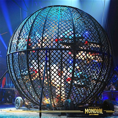 Photo 2 de Cirque Mondial 100% Humain | Grenoble