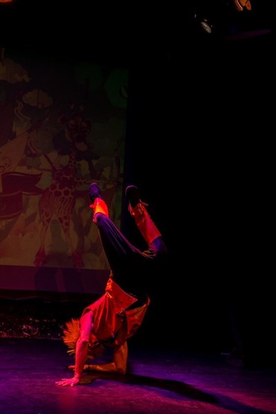 Photo 2 de Le royaume enchantant