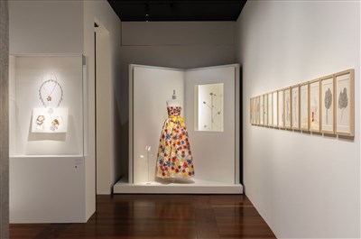 Photo 1 de Visite confidentielle du Musée Yves Saint Laurent Paris