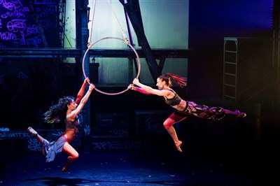 Photo 1 de Cirque Éloize dans ID évolution