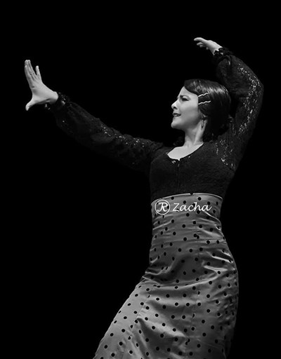 Photo 2 de Sunday Flamenco