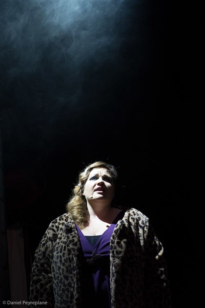 Photo 11 de Night Butterfly | Le Spectacle Musical