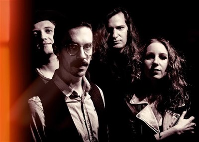 Parlor Snakes