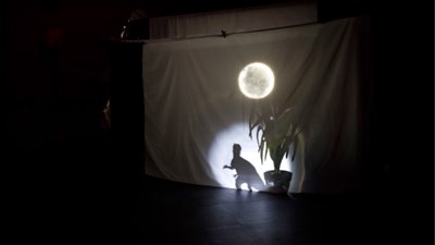 Photo 1 de Face de Lune