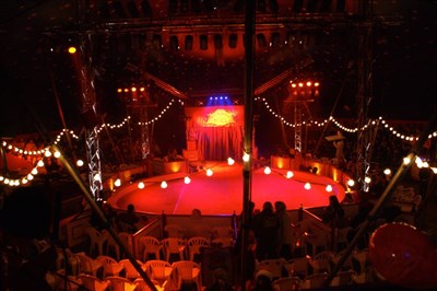 Photo 3 de Le Cirque de Noël Christiane Bouglione