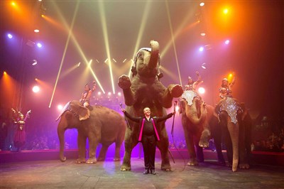 Photo 1 de Cirque Arlette Gruss dans Et l'on réinventa le cirque | - Reims