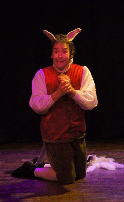 Photo 7 de Pinocchio
