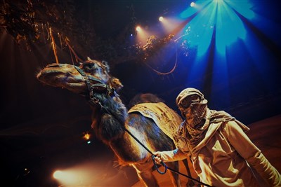 Photo 8 de Arbre | par le Cirque Théâtre Bormann