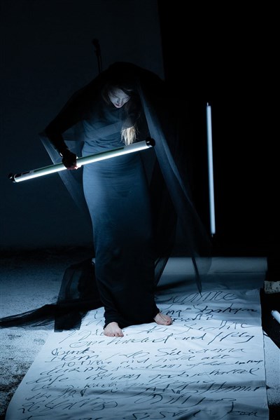 Photo 3 de Anne H. : Une épopée Shakespearienne