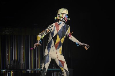 Photo 4 de Carnival