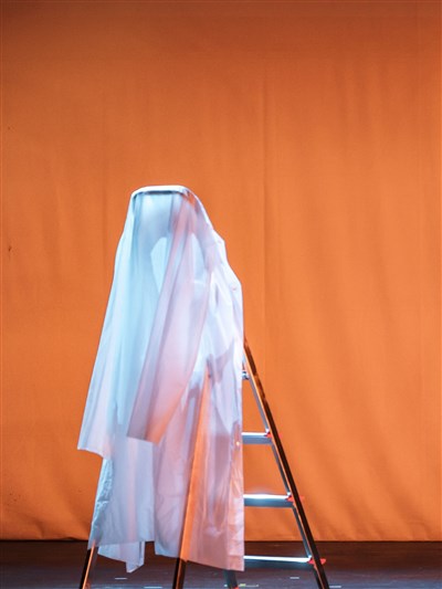 Photo 2 de Mariage avec un Escabeau
