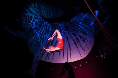Photo 3 de Cabaret cirque
