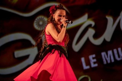 Photo 5 de Gitans, le musical