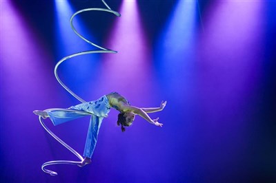 Photo 1 de Noël au Cirque