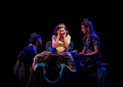 Photo 4 de La Princesse au petit pois
