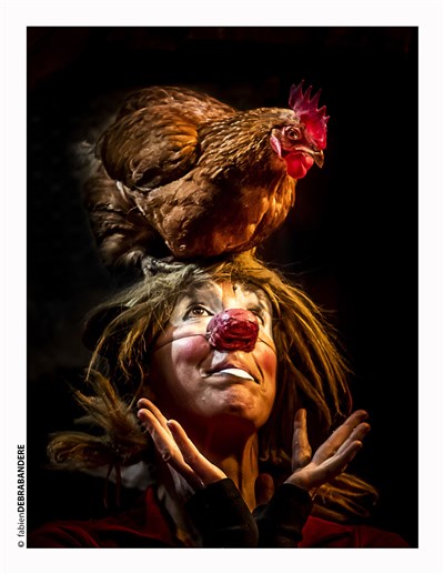Photo 1 de Être vivant, Paroles d'oiseaux de la terre