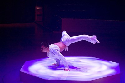 Photo 7 de Le cirque de Noël Christiane Bouglione
