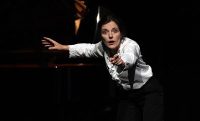 Photo 2 de Mozart, le dernier voyage à Paris