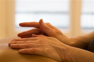 Photo 4 de Atelier massage : le dos 1