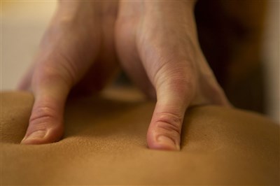 Photo 4 de Atelier massage : le dos 2