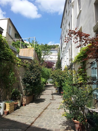 Cour Delépine