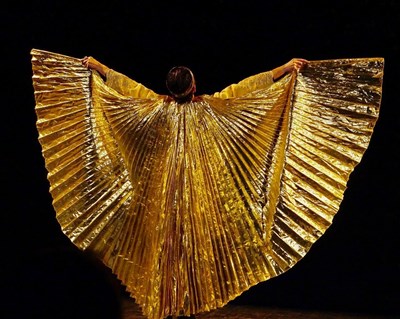 Photo 1 de La Nuit des Rois, ou ce que vous voudrez