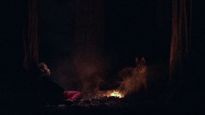 Photo 5 de Le bruit des loups