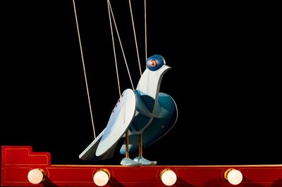 Photo 2 de Le bel oiseau