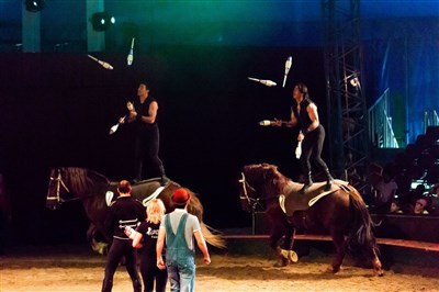 Photo 1 de Parc Alexis Gruss