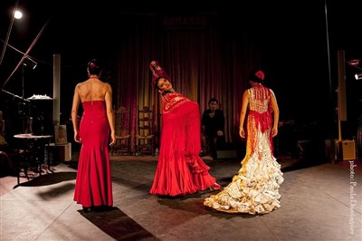 Photo 1 de Soirée Tres Flamenca