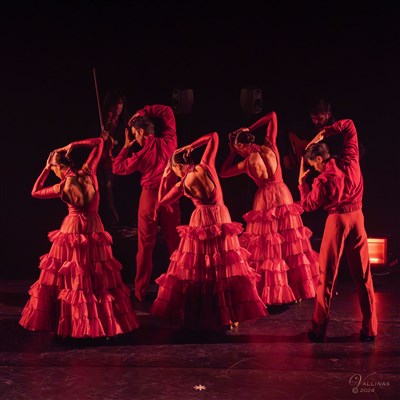 Photo 4 de Rose d'Espagne