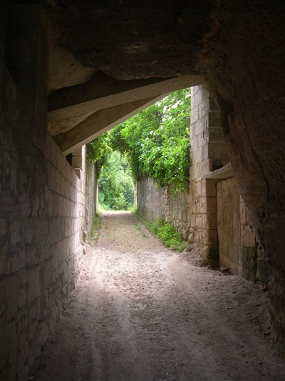 Photo 2 de Visite guidée : Souzay-Champigny | par Mylène Gault