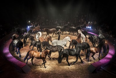 Famille GRuss : le Caroussel