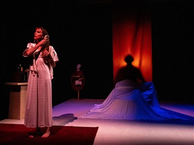 Photo 3 de L'Amant - Harold Pinter