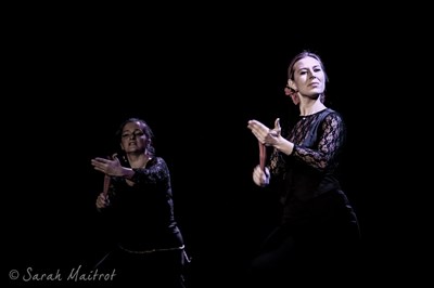 Photo 1 de Flamenco mon amour 3